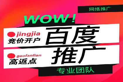 案例解析：sem竞价策略在电商平台的成功应用
